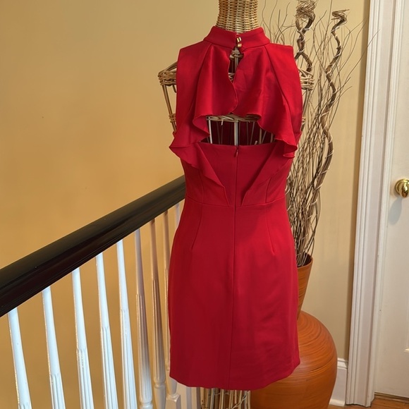 Trina Turk Red dress - Picture 3 of 10
